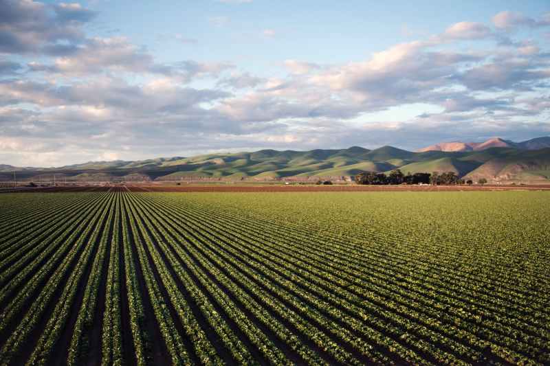 USDA Invests More than $48.6 Million to Manage Risks, Combat Climate Change