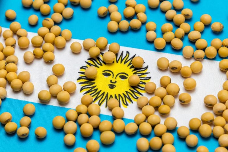 Argentina Anticipates Rebound in Soybean Crop