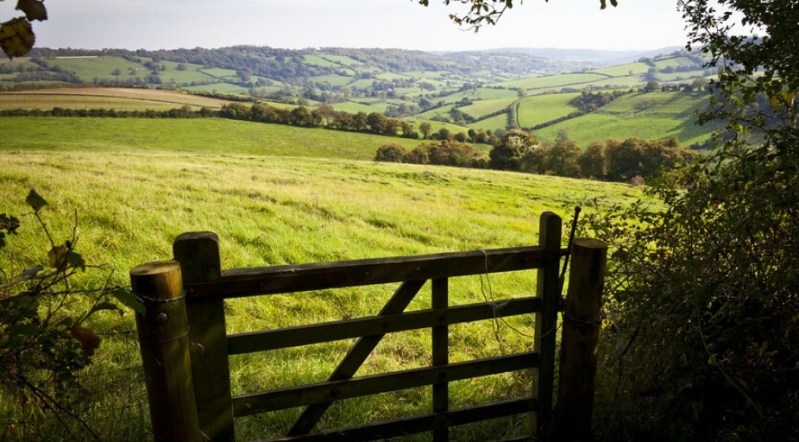 US Farm Bill Expected in December