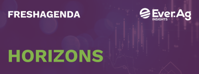 Horizons – November 2024