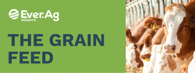 The Grain Feed: WASDE Whiplash & the Winter Wheat Throwdown – December 10, 2025