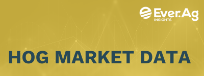 Hog Market Data – Dec 29, 2025