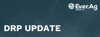 DRP Q4 2025 Premium Billing