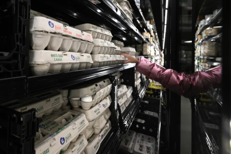 As the Trump Administration Shifts Strategy on Avian Flu, It’s a Complicated Issue in Need of a Long-Term Solution