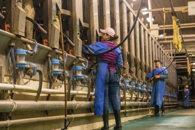 Where Will Farmworkers Come From in the Future?