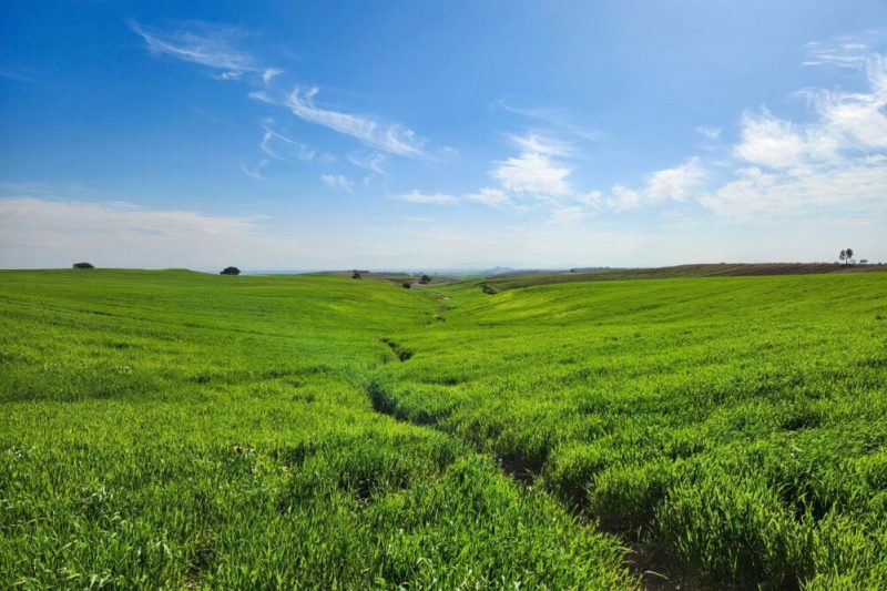Drought Recedes, Dryness Endures in US Plains