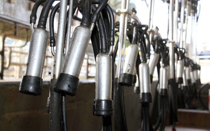 Milk Supply Resilient Amid Global Volatility