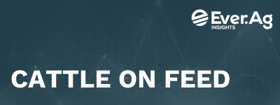 Cattle on Feed – December 19, 2025