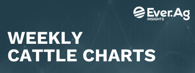 Weekly Cattle Charts – December 29, 2025