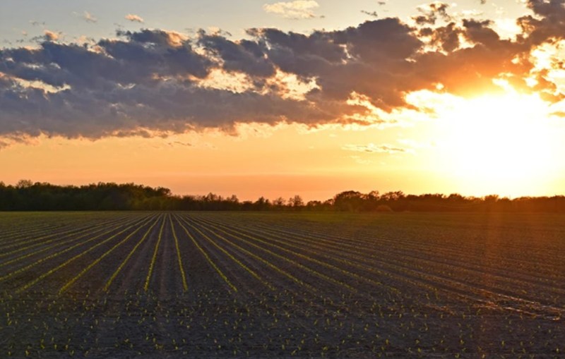 Land Values ‘Remarkably Stable’ Across the Country