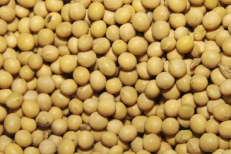 US Soybean Farmers Urge Trump to Make Purchase Deal With China