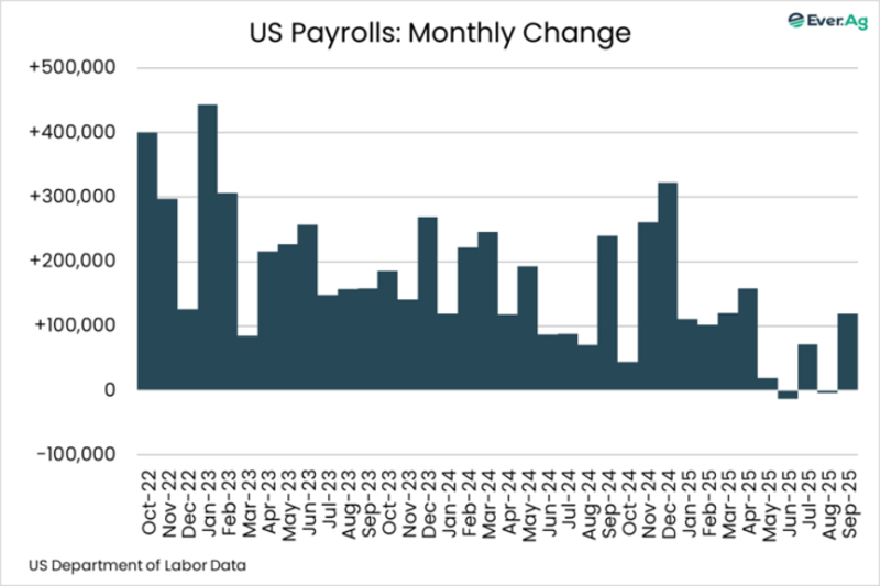 Chart of the Day – 11.21 – US Payrolls: Monthly Change