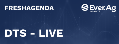 Updated Version DTS – Live Trade Insights Dashboard