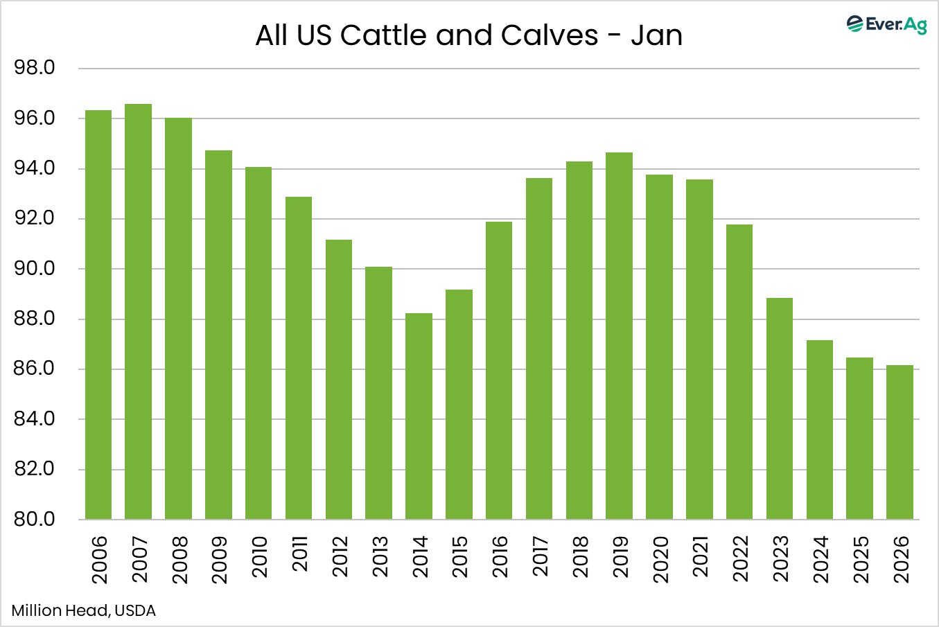 all cattle calves