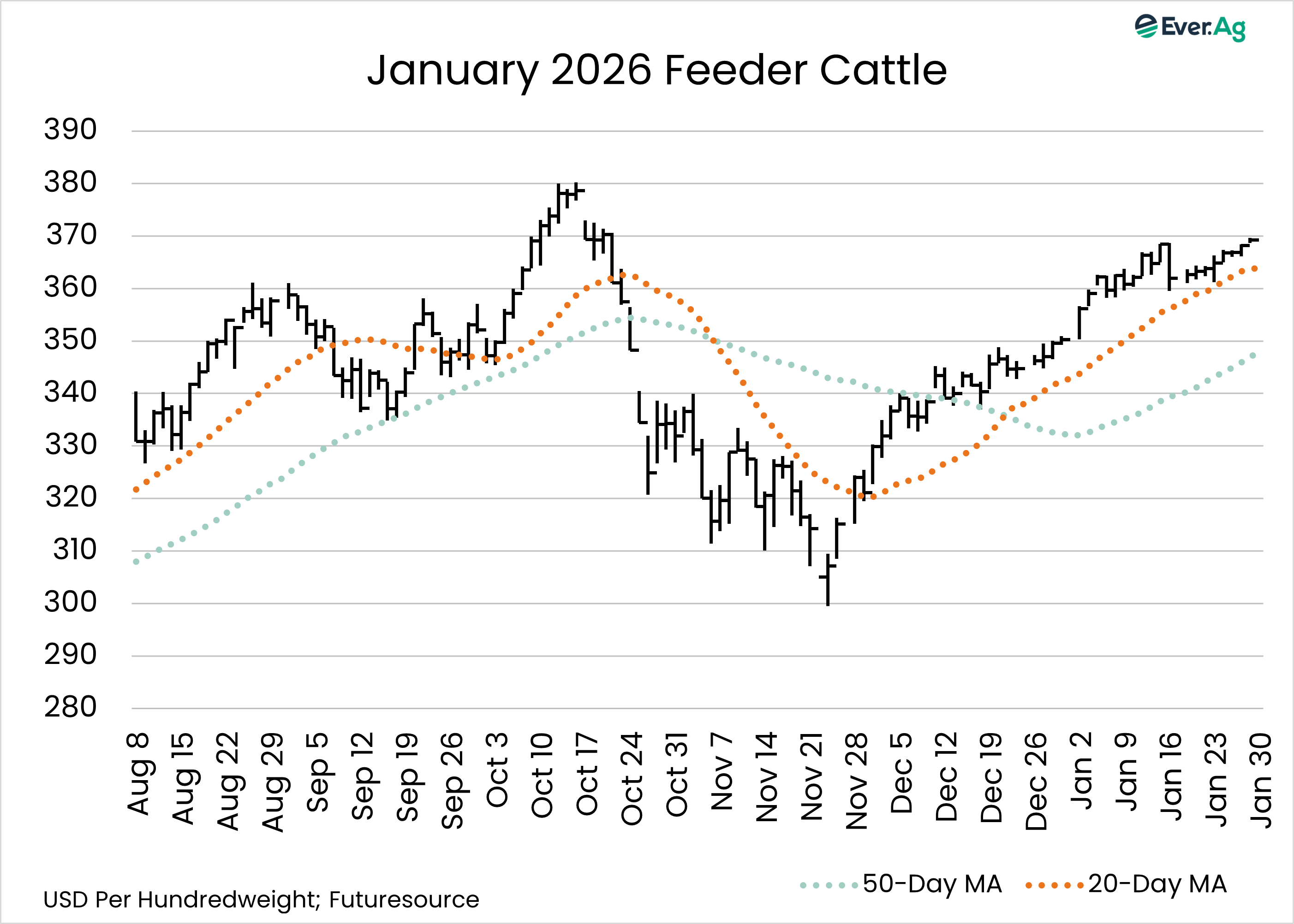 feeder cattle