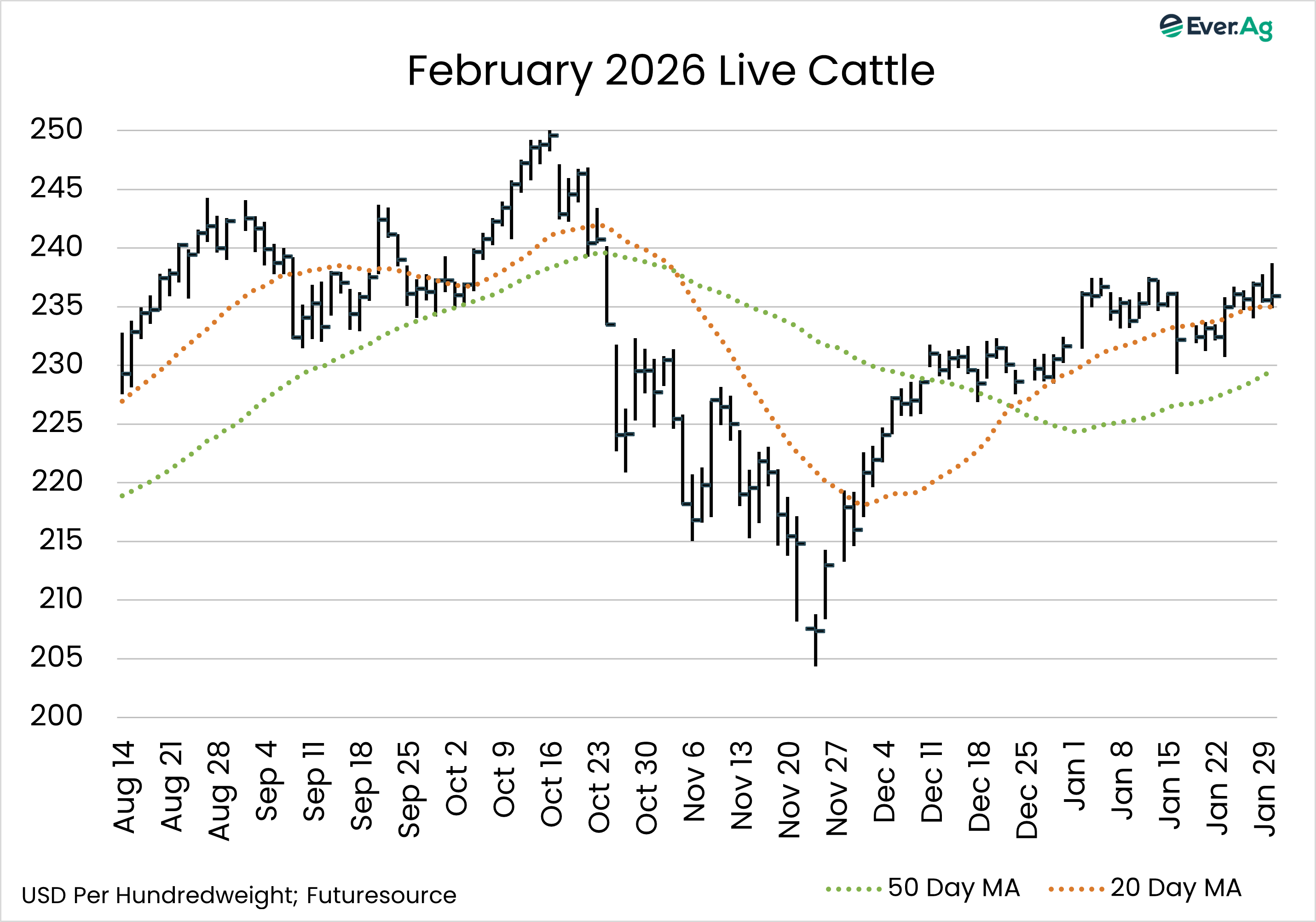 live cattle
