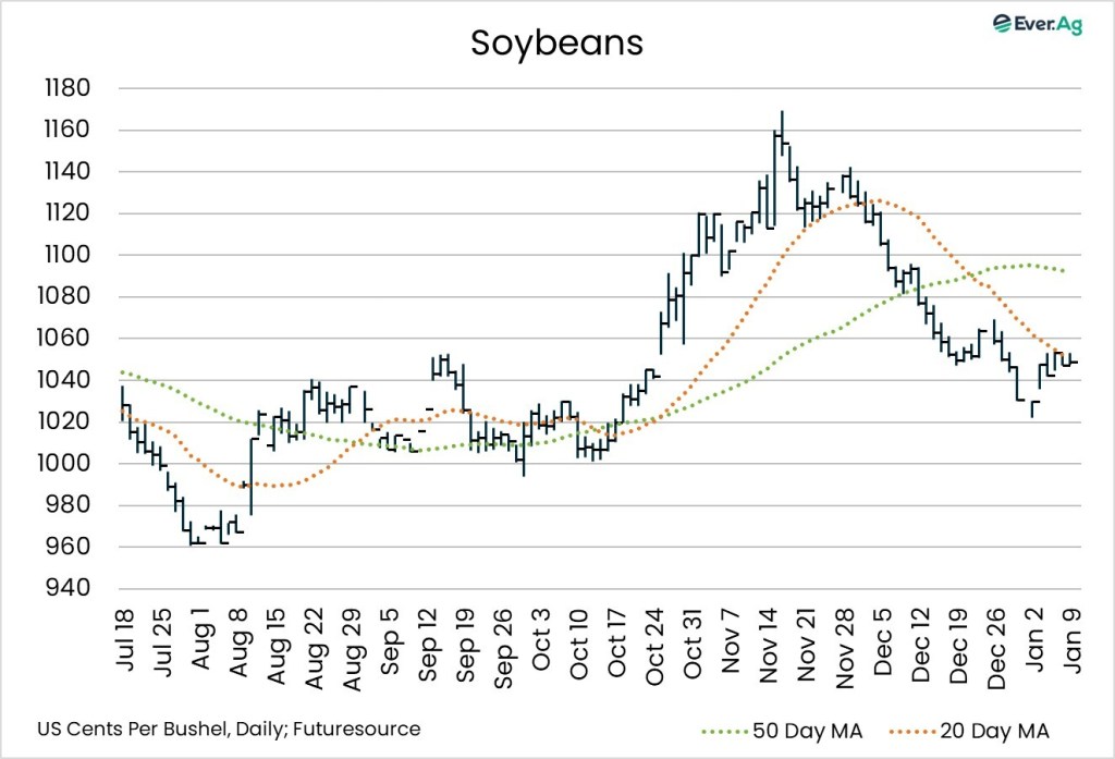 tww soybeans