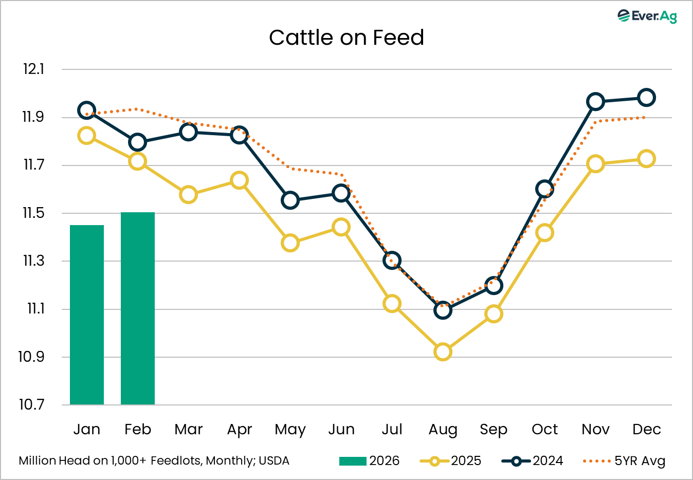 cattle on feed