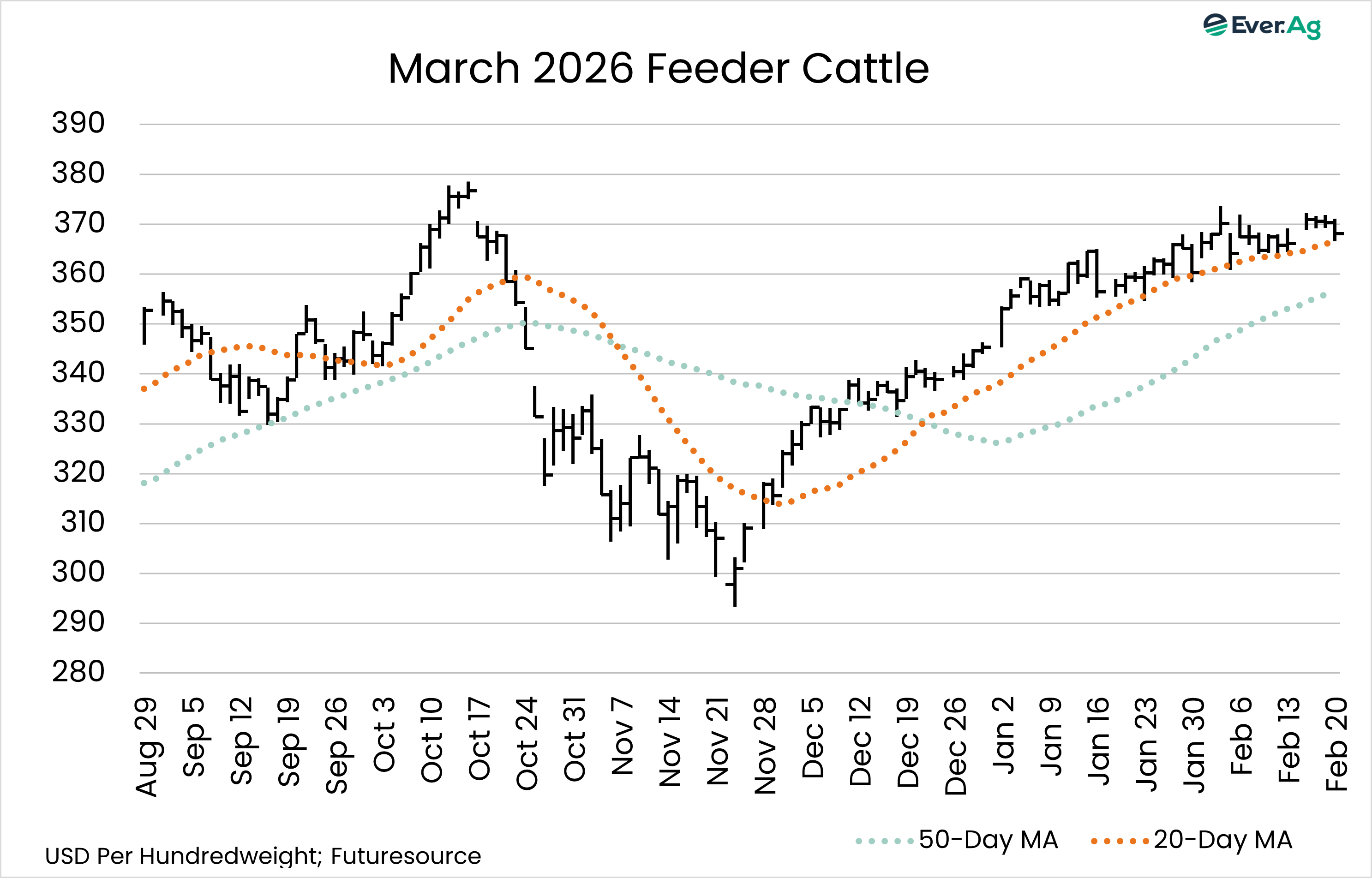 feeder cattle 1