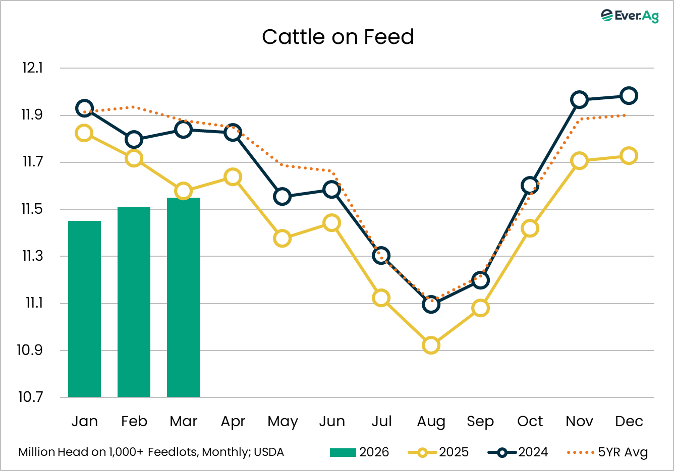 cattle on feed