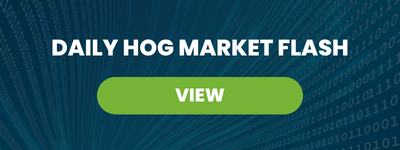 Daily Hog Market Flash – Sep 3, 2026