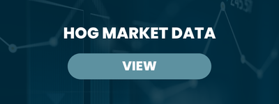 Hog Market Data – Sep 3, 2026