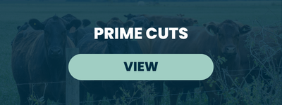 Prime Cuts – September 4, 2026