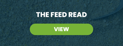 The Feed Read – September 30, 2025