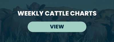 Weekly Cattle Charts – September 8, 2026