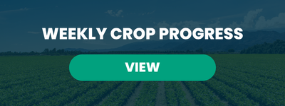 Weekly Crop Progress – September 8, 2026